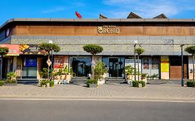 The Royal Orchid